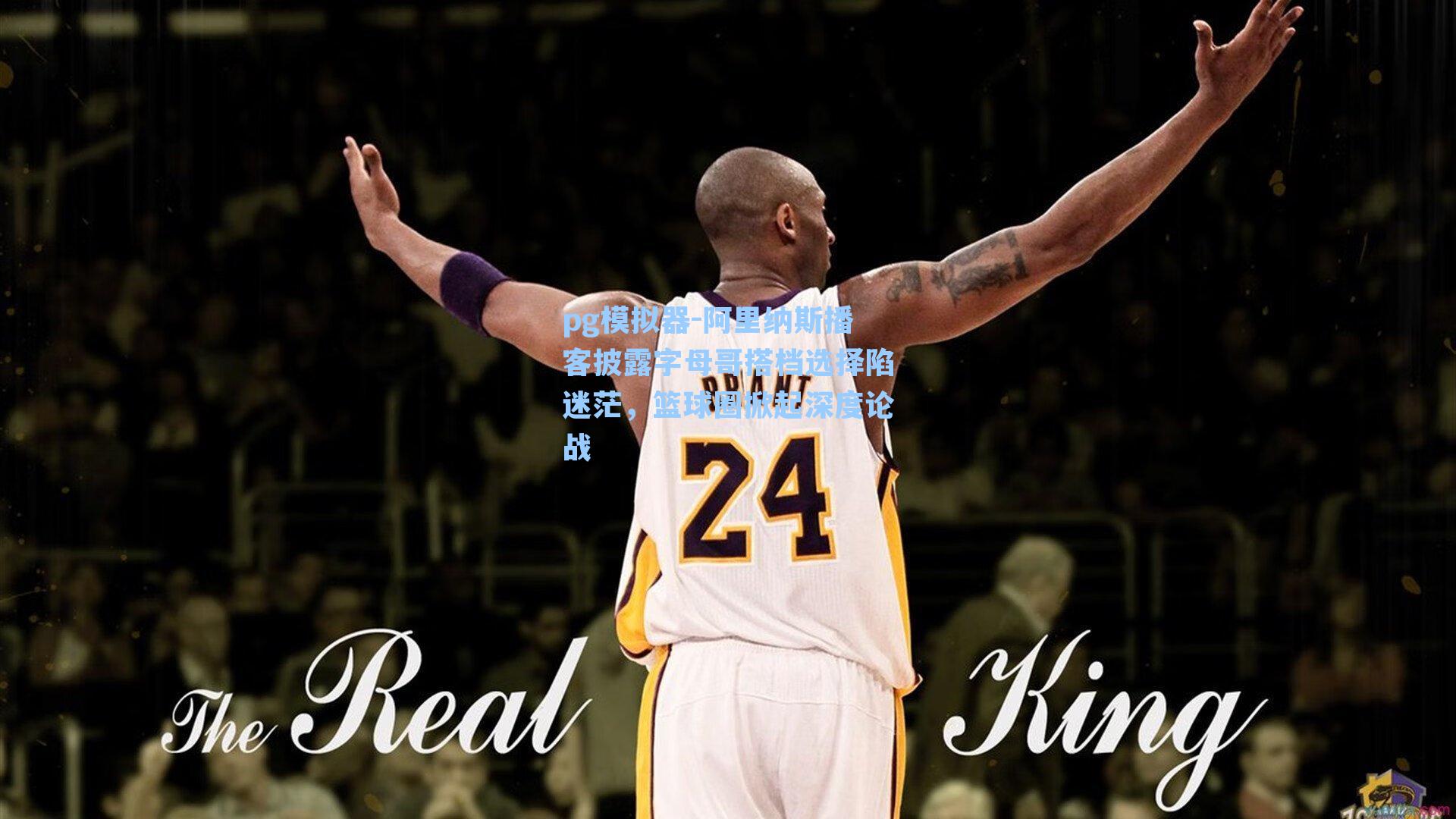 阿里纳斯播客披露字母哥搭档选择陷迷茫，篮球圈掀起深度论战